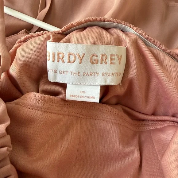 NWT Birdie Grey Lola Dress in Chiffon Dusty Rose - Picture 7 of 7